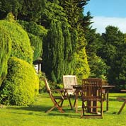 Utility lawn seed - 500gr - 20m2